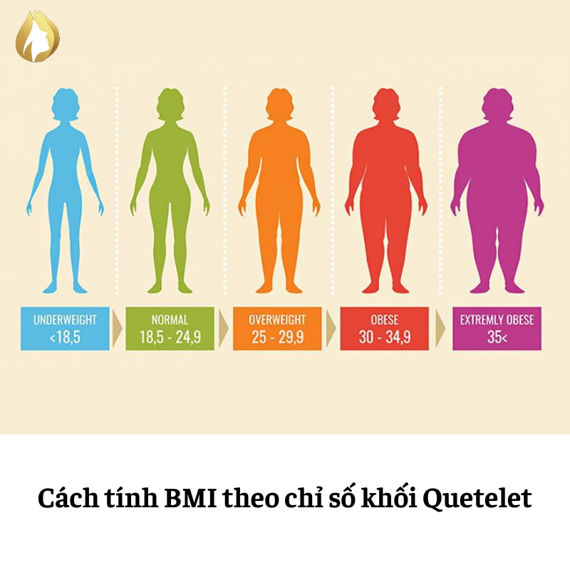 Cách tính chỉ số BMI cho nữ : Tính bằng chỉ số khối Quetelet