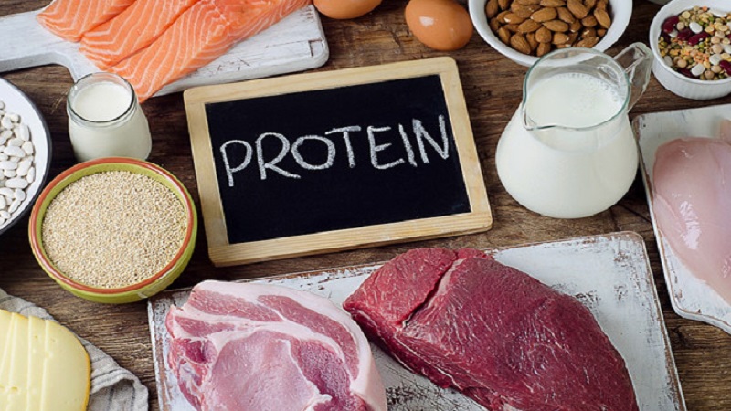 Nguyên tắc 4: Lựa chọn loại protein thích hợp